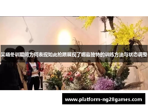 吴曦冬训期间为何表现如此抢眼展现了哪些独特的训练方法与状态调整