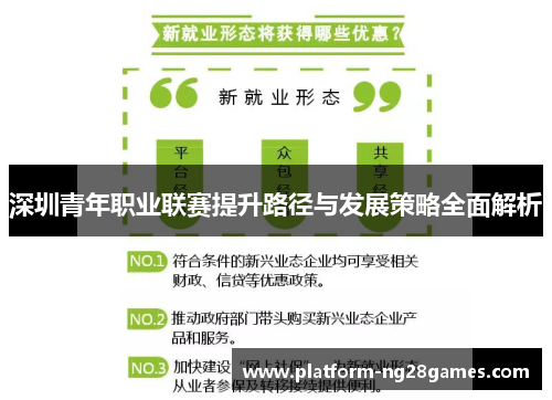 深圳青年职业联赛提升路径与发展策略全面解析