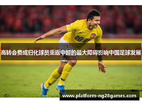 高转会费成归化球员重返中超的最大障碍影响中国足球发展