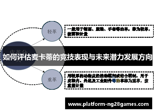 如何评估麦卡蒂的竞技表现与未来潜力发展方向